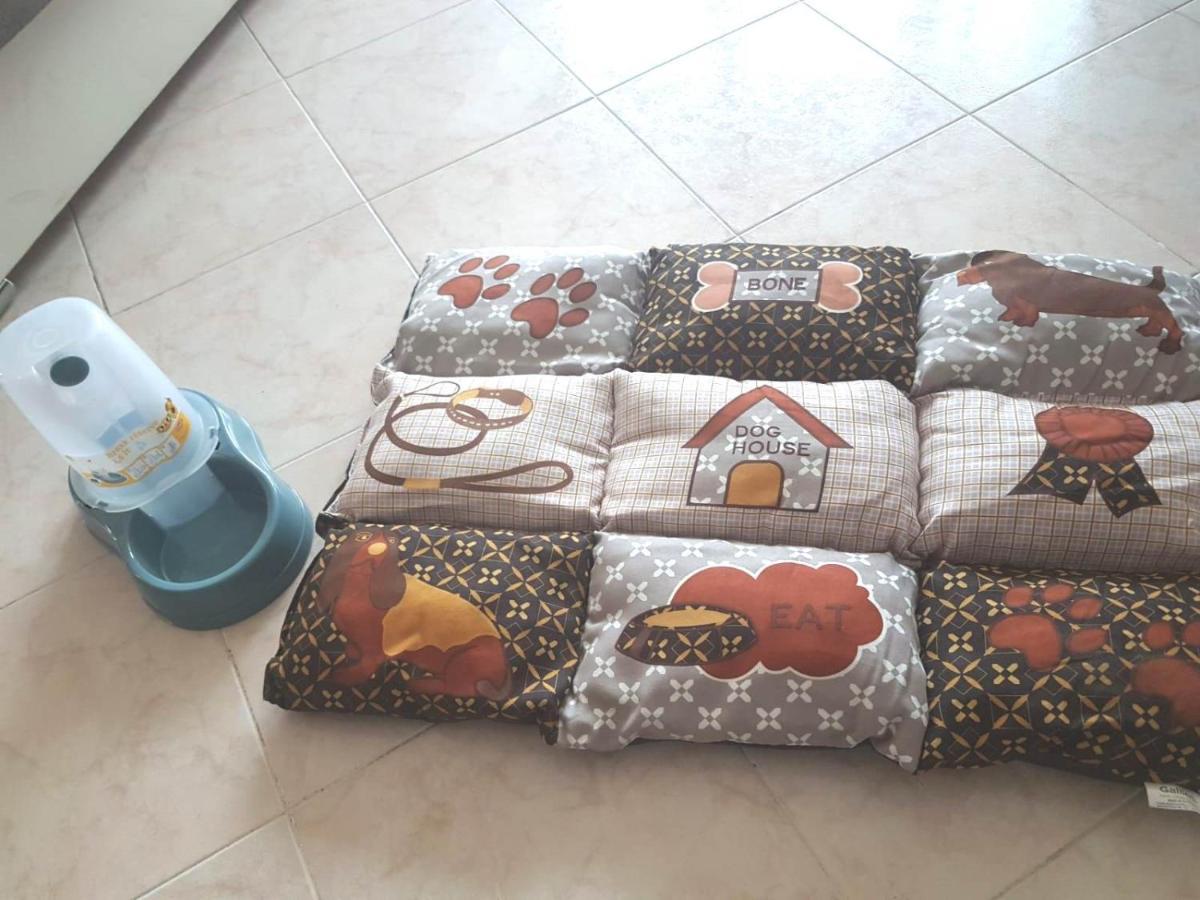 Isotta Guest House Family E Pet Friendly Perugia Luaran gambar